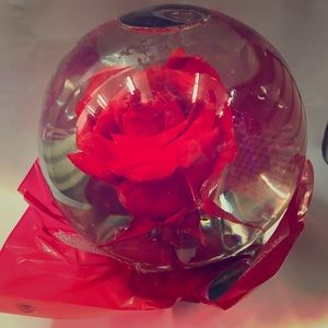 Rose in glass ( real rose )